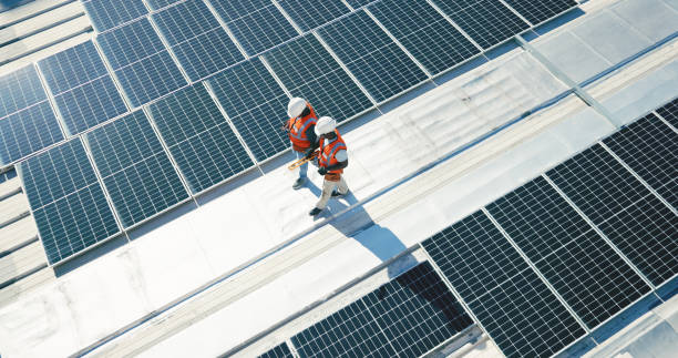 Best Roof Moss and Algae Removal  in Staunton, VA